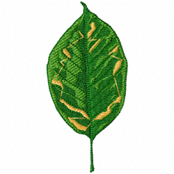 Leaves Embroidery Design 2 Leaves Embroidery Design 2